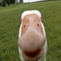 863386