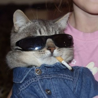 Ролчик