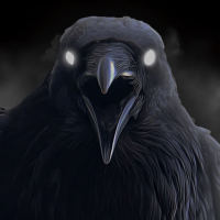 RAVEN13