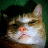Nazarchik