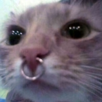 Shidzo