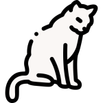 На корм котикам